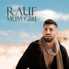 Mum Gibi - Rauf