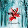 Zeit bleibt nicht stehen - Eisblume