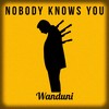 Nobody Knows You - Wanduni