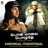 Karungal ithayathaal - Aniruddha Sastry&Chandru&V. Sridhar