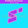 From the Fall - Emiliano Ferrareso