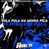 Pula Pula Na Minha Pica vs Pitbull de Raça (Explicit) - dj nicolas beats&MC CÓVINHA&MC Zudo Boladão