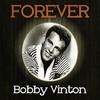 Mr Lonely - Bobby Vinton