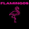 Let's Get After It - Flamingos