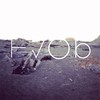 Dogs - HVOB