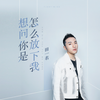 想问你是怎么放下我 (伴奏) - 田一名