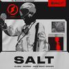 Salt - DJSM&Robbe&New Beat Order