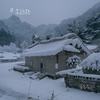 秋风吹尽大雪飞 (热播) - 李远路