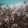 Aperture - Aesthetic Sounds