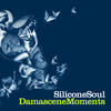 Damascene Moments - Silicone Soul