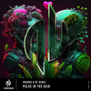 Pulse In The Acid - Avadox&DE XENIA