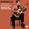 III. Allegro gentile - Emmanuel Rossfelder&Arie Van Beek&Orchestre d'Auvergne