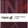 Land (Phunk Investigation Remix) - Andrew Fontana&Phunk Investigation