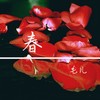 春 - 毛儿