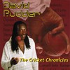 Cricket(It's Over) - David Rudder