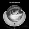 Against The Wall - Function