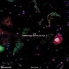 Vamoo (Dub Mix) - Kaiq