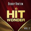 Mr. Lonely - Bobby Vinton