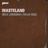 Ibiza (Original Pollo Mix) - Wasteland