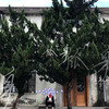 孤身 - 徐秉龙
