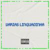 VARIAS LINGUADINHA (Explicit) - DJ SOUSA MIX&Mc Sincero