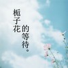 栀子花的等待 - 温柔清泪&韩嘉琪