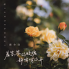羞答答的玫瑰静悄悄的开 - 前小白