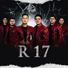 R17 - Los De La Verde