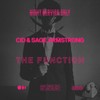 The Function (Radio Edit) - CID&Sage Armstrong