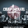 Reconitor (Secret Deep Mix) - Steven Silk