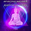 Chemical Source (Original Mix) - Spectro Senses&Synthetic Vision