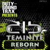 Reborn (Original Mix) - Teminite