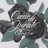Carry On - Coeur De Pirate