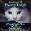 Forested Temple (Acoustic Cover) - Warp Whistles Music&A.C. Menes&Sean R. Hanson