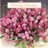 Suite Pour Orchestre N°2 - Badinerie - Eckart Haupt&Max Pommer: New Bach Collegium Musicum