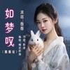 如梦叹（圈圈版） (伴奏) - 默念&圈圈