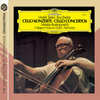 2. Larghetto - Mstislav Rostropovich&Orchestra of the Collegium Musicum&Paul Sacher