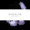 Doors - Snowlab