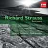 III. Of the Great Longing - Wolfgang Sawallisch&Michael Stairs