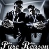 Roller Coaster - Pure Reason