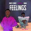 Feelings (feat. Xnaiq) - Kwesi Songs&XNAIQ