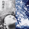 向南走 - 雪无影