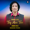 Dhiga Dar Tay Aan Tere - James Gill&Khokhar Studio