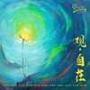 浔阳琵琶 - 刘桂莲