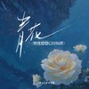 青花 (恍恍惚惚已经隔世) - Joysaaaa