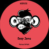 The Flow (Original Mix) - Tony Merciari