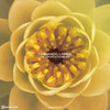 Hass (Original Mix) - Fernando Campo