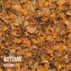 Autumn - Blackmill