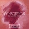 Conscience (feat. Julie Elody) (Echo Remix) - Sandëro&Echo&Sander W.&Julie Elody