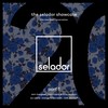 Somebody (Just Like You) - NonCitizens&Lucas Blumen